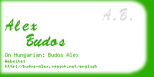 alex budos business card